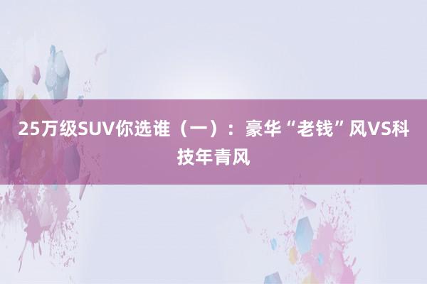 25万级SUV你选谁（一）：豪华“老钱”风VS科技年青风