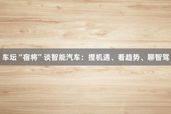 车坛“宿将”谈智能汽车：捏机遇、看趋势、聊智驾