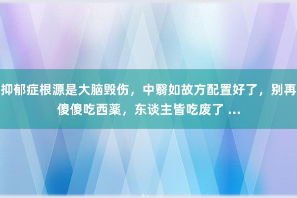 抑郁症根源是大脑毁伤，中翳如故方配置好了，别再傻傻吃西薬，东谈主皆吃废了 ...